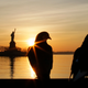 These birds like liberty. Therefore it follows that if you do not like them, you do not like liberty.